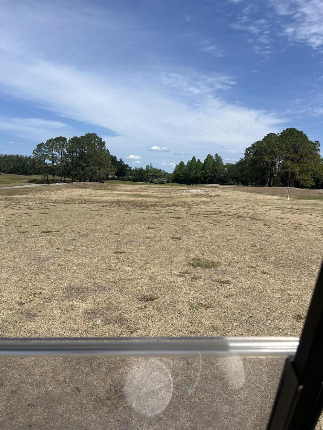 (Photo submitted by gn27850316 on 04/29/2026)