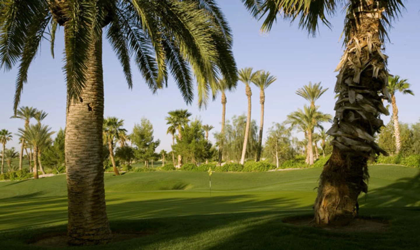 Bali Hai G.C. - 15th hole