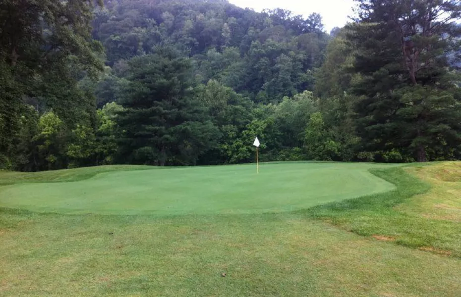 Green Meadow CC: #5
