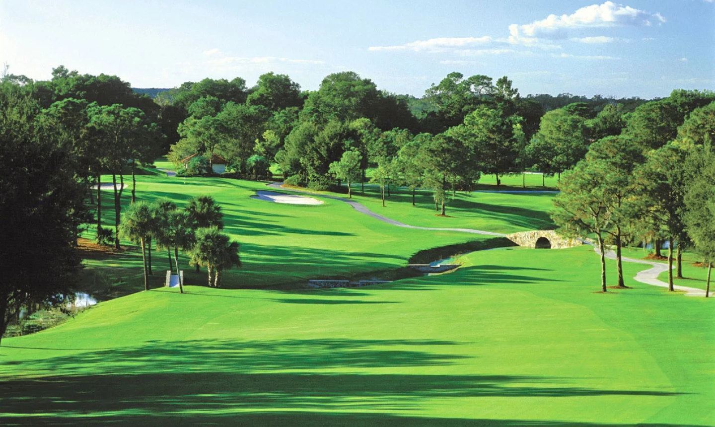 El Campeon golf course - Mission Inn - hole 7 