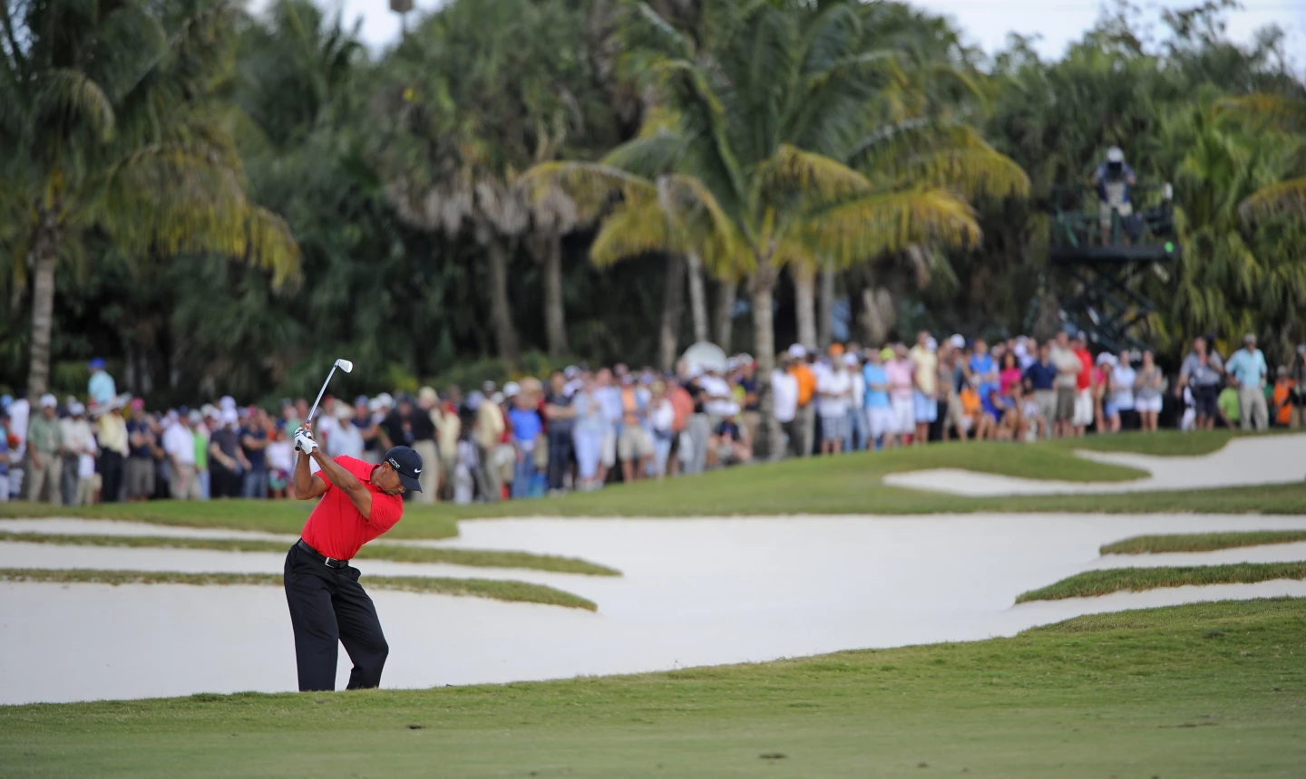 Tiger Woods at Doral