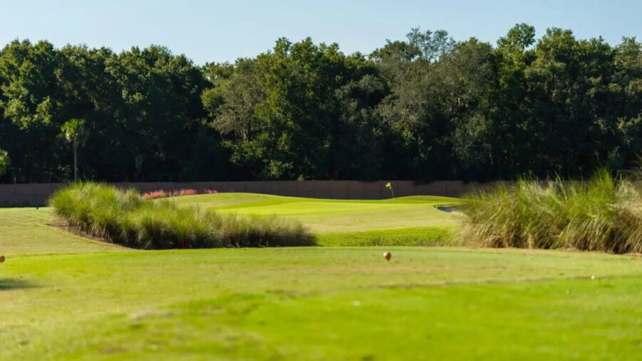 Longleaf Executive GC