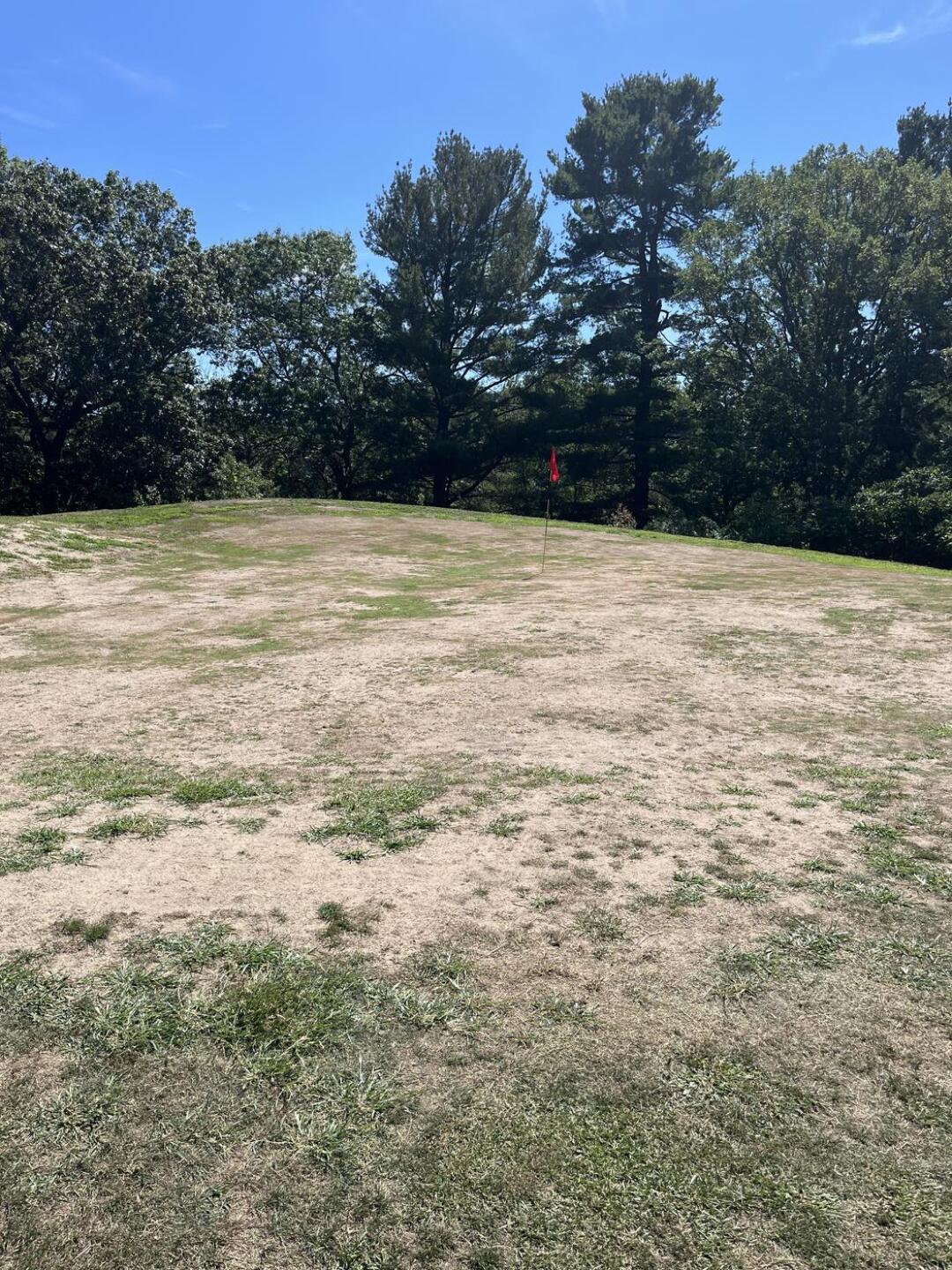 (Photo submitted by jfonz8 on 08/18/2025)