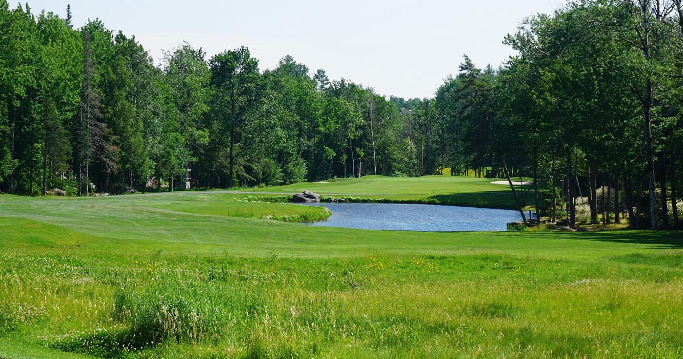 Seventeen. A par-4 of 408. The driving zone is exceptionally tight. (Photo submitted by AptlyLinked on 06/23/2021)