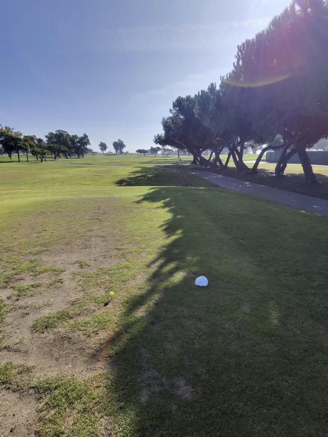 (Photo submitted by BrianP7647 on 12/07/2025)