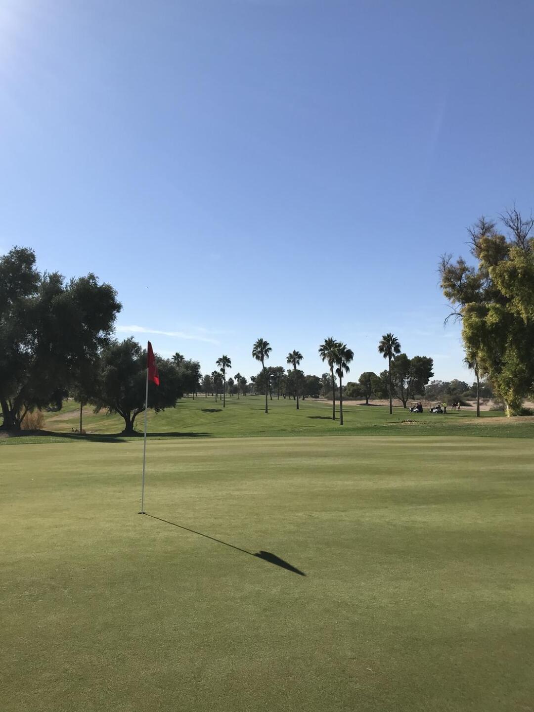 (Photo submitted by oldmaddog50 on 12/09/2021)