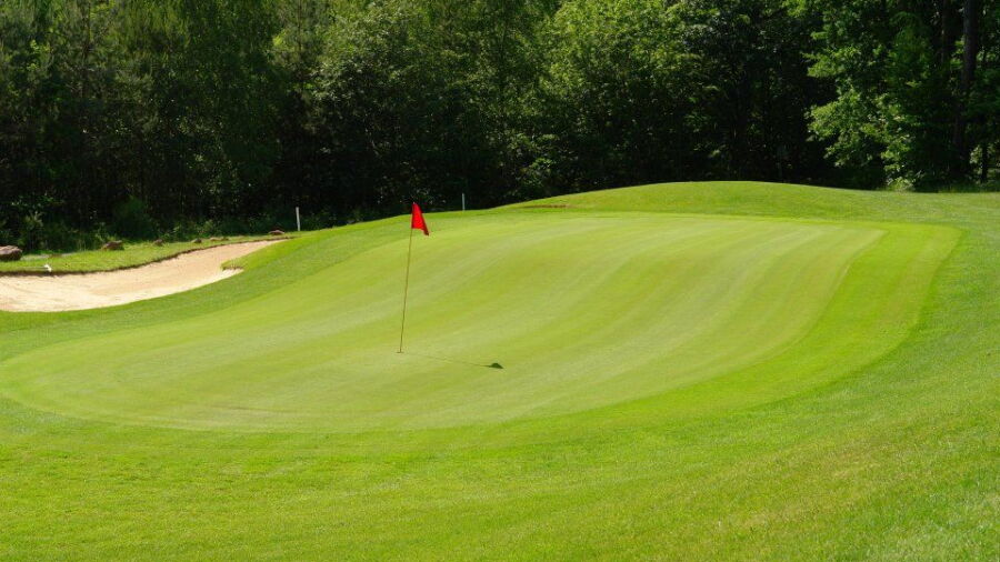 Barbarossa GC Kaiserslautern: #15