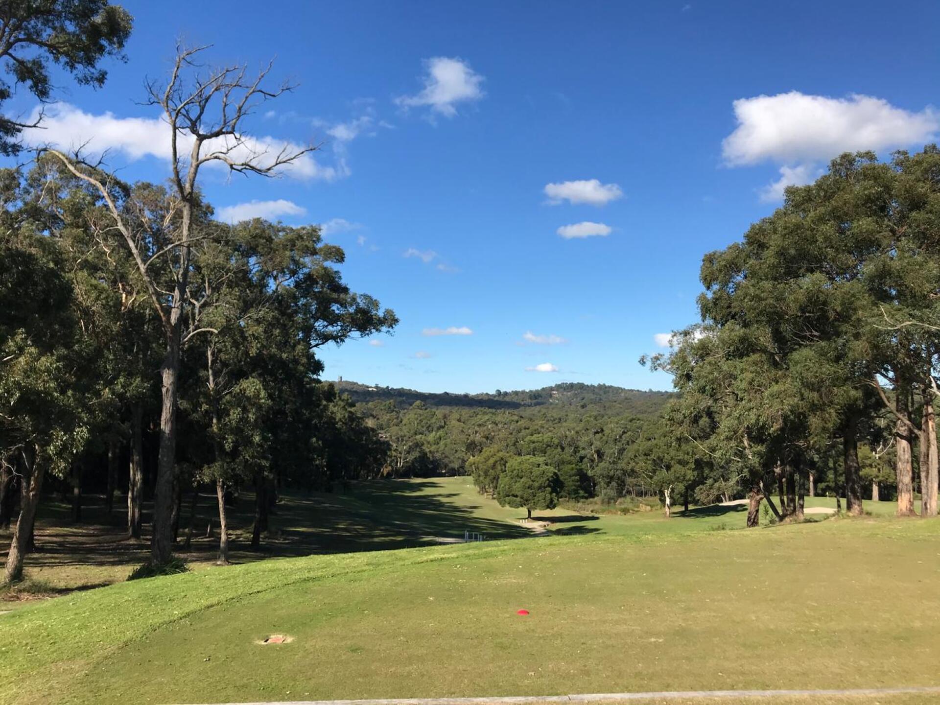 (Photo submitted by theglasseyegolfer on 07/17/2020)