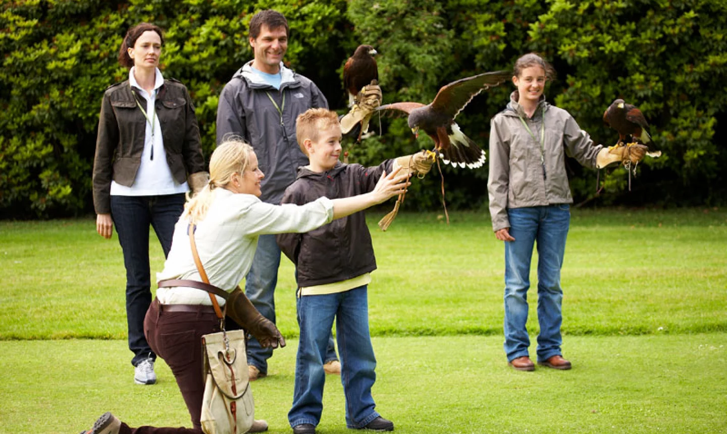 Gleneagles resort - falconry