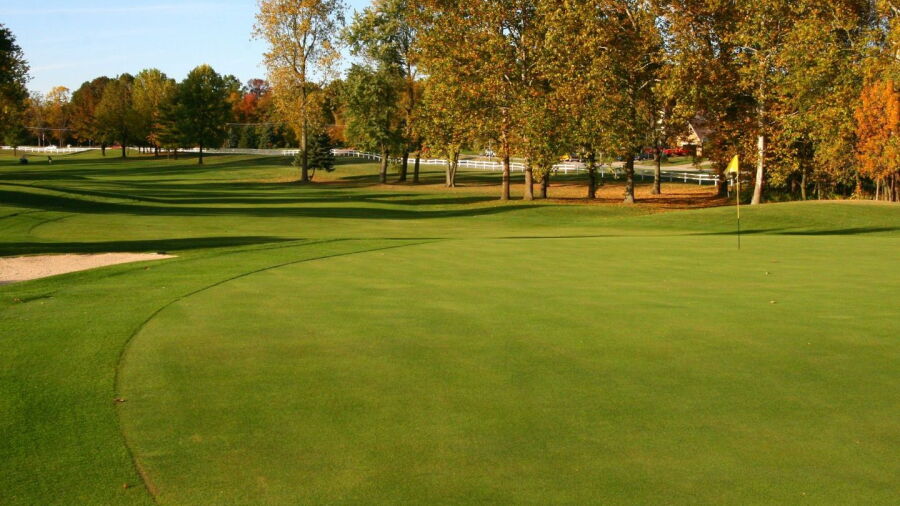 Harbour Trees GC: #17