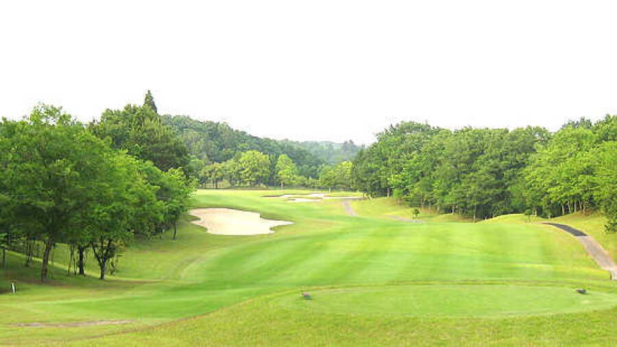 Southern Yards CC: #13