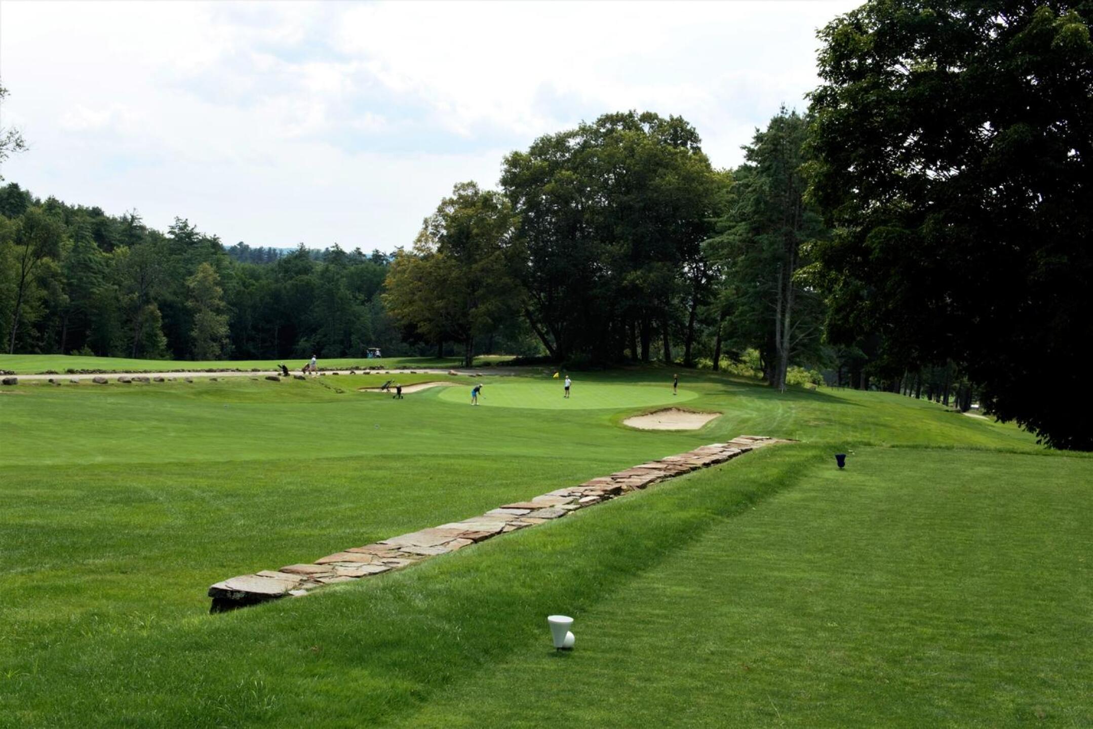 The eighth is a challenging par-4. Here it is being played by a foursome of younger golfers. (Photo submitted by AptlyLinked on 08/16/2023)