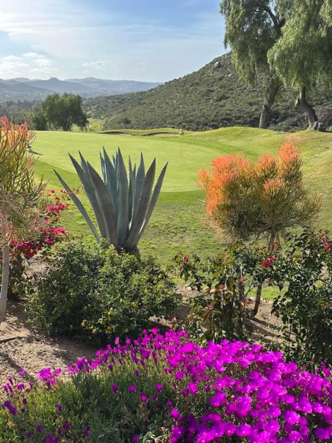 Beautiful views (Photo submitted by mab01301 on 02/16/2026)