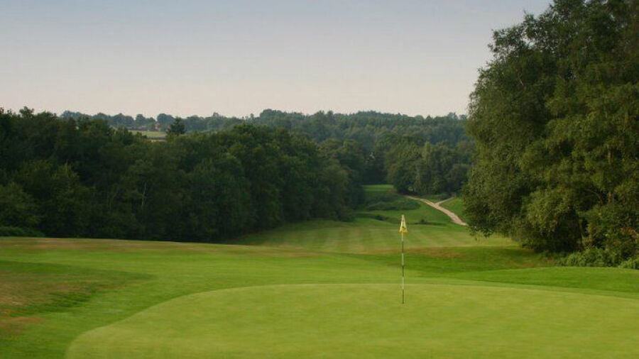 Mannings Heath GC - Waterfall: #9