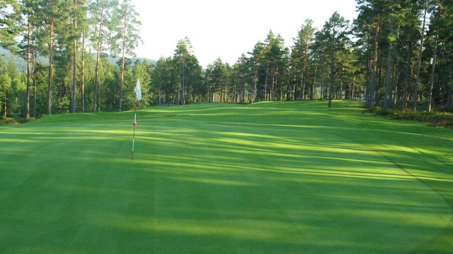 Kjekstad GC - Short: #5