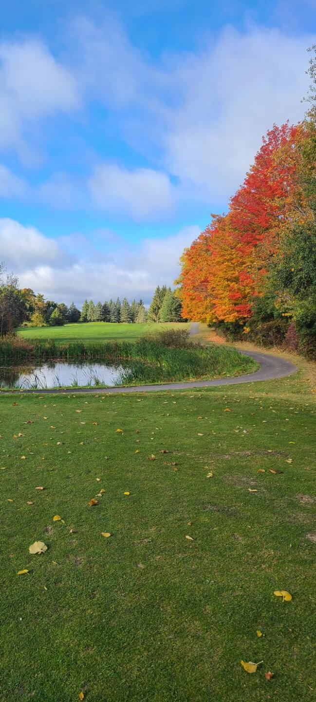 Falk (Photo submitted by Markpearlman on 10/08/2022)