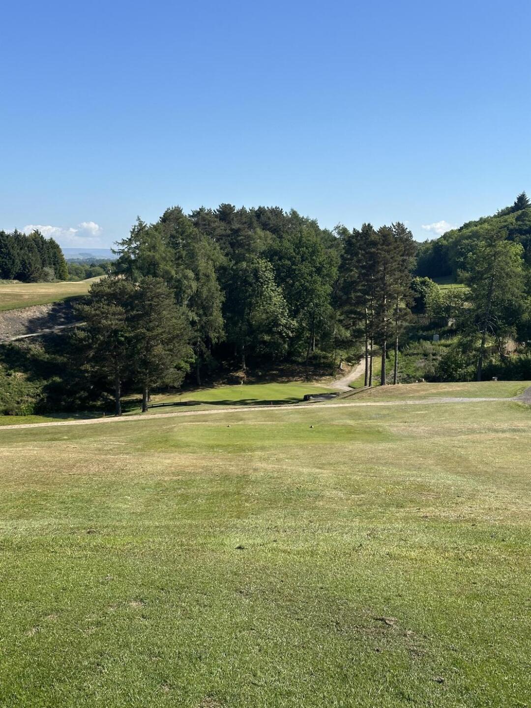 (Photo submitted by Rian1916 on 05/24/2025)