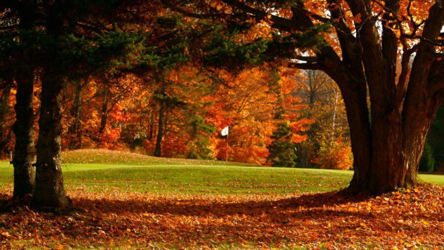 Root River GC: #5