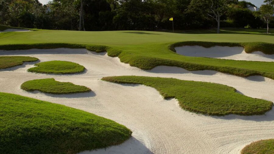 Pine Tree GC