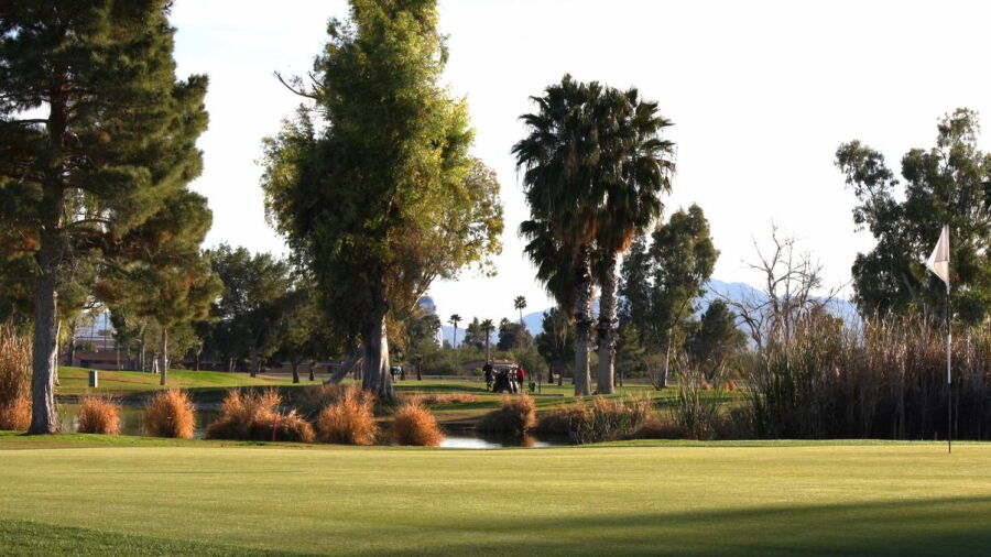 Toka Sticks GC: #4