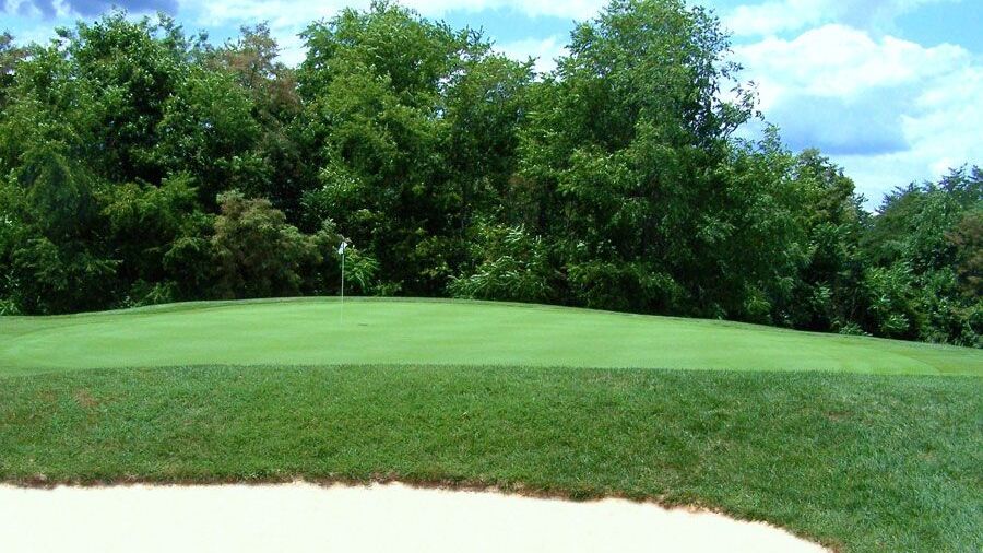 Winton CC: #14
