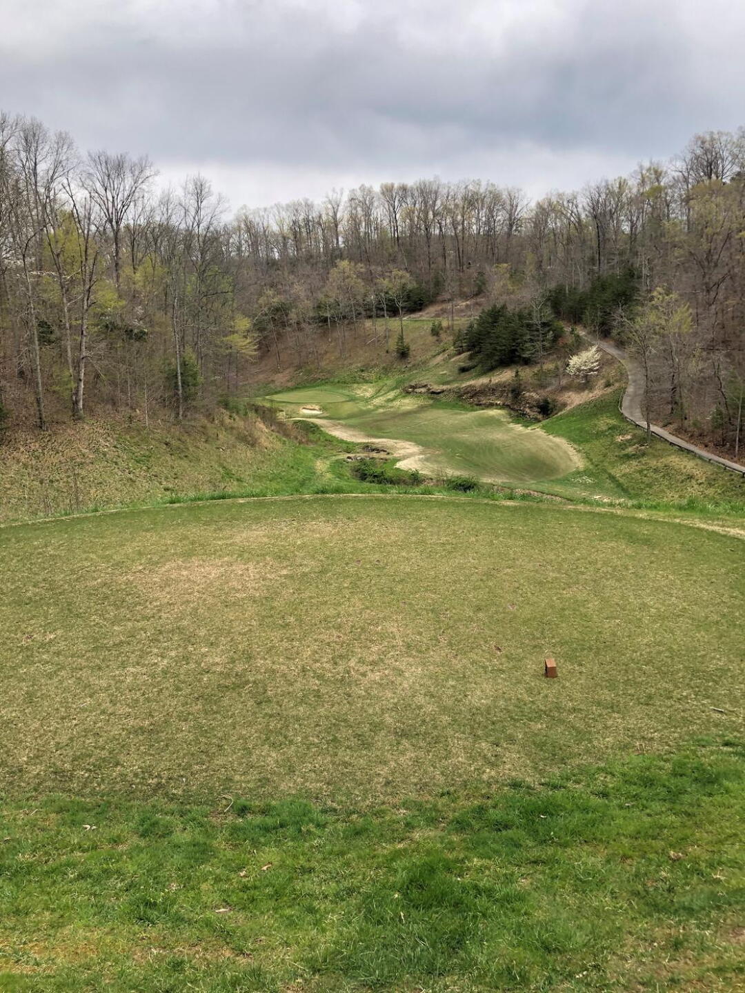 super high tee location (Photo submitted by Caboomer on 04/29/2021)