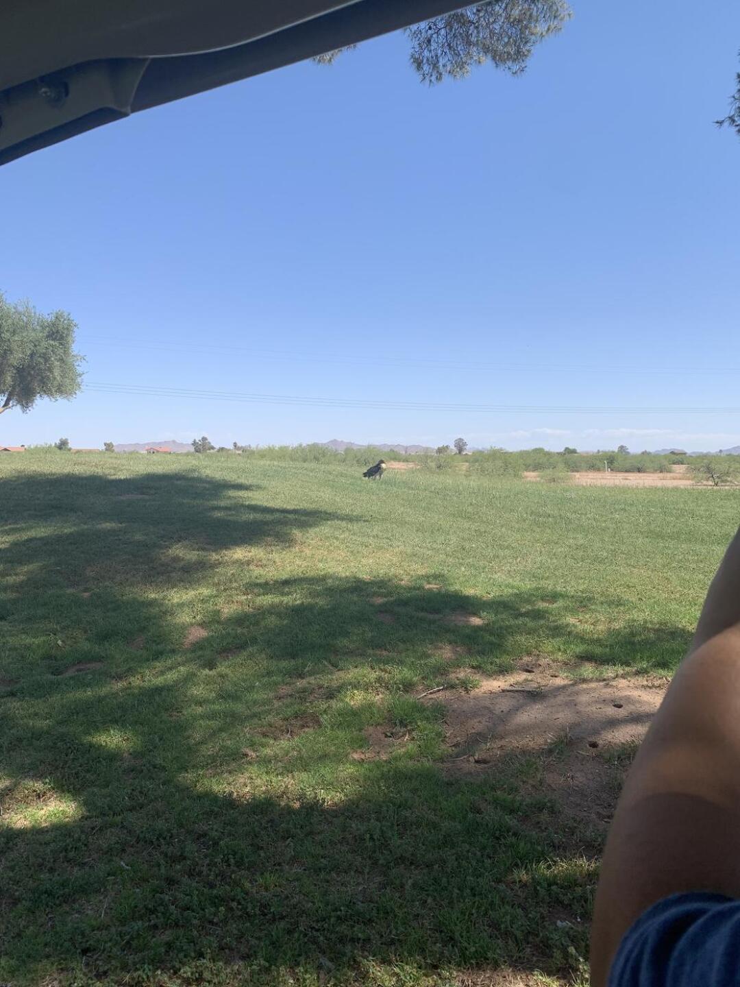 (Photo submitted by daveberg714 on 05/17/2021)