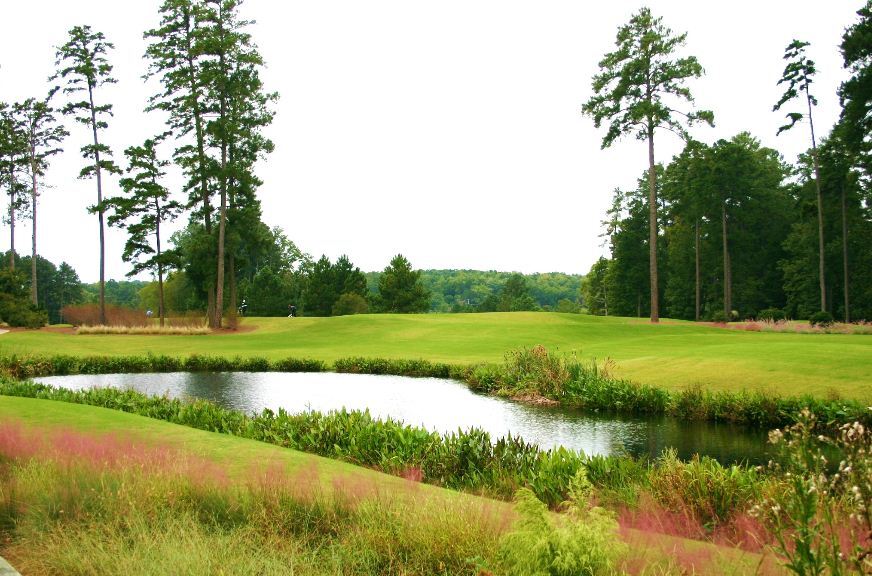 UNC Finley Golf Course - 1st tee