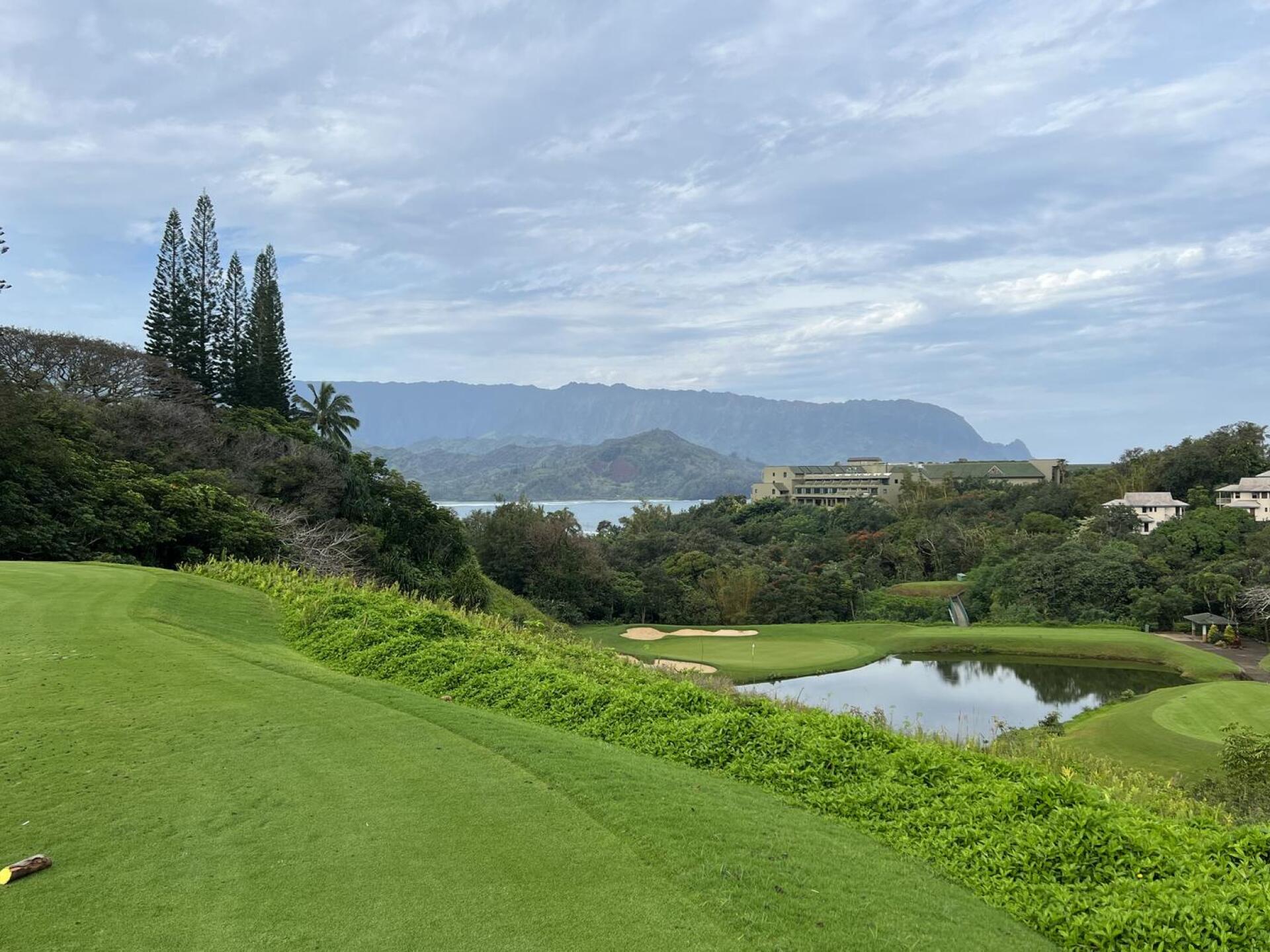 (Photo submitted by u868407234 on 03/27/2023)