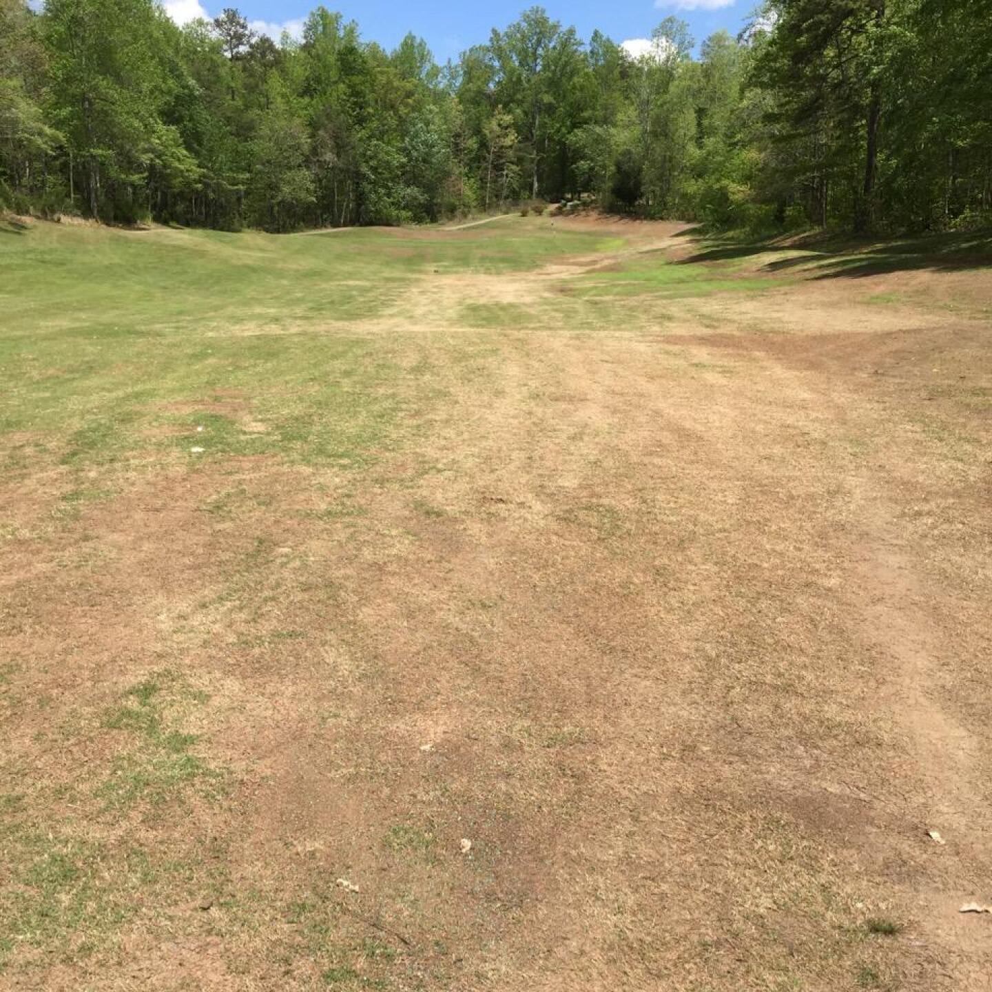 Some areas are dormant but no grass is growing in others (Photo submitted by scsmith63 on 05/01/2015)