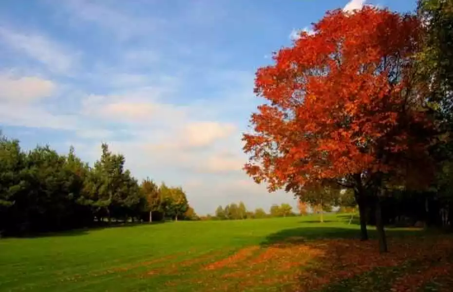 Schloss Elkofen GC: #17