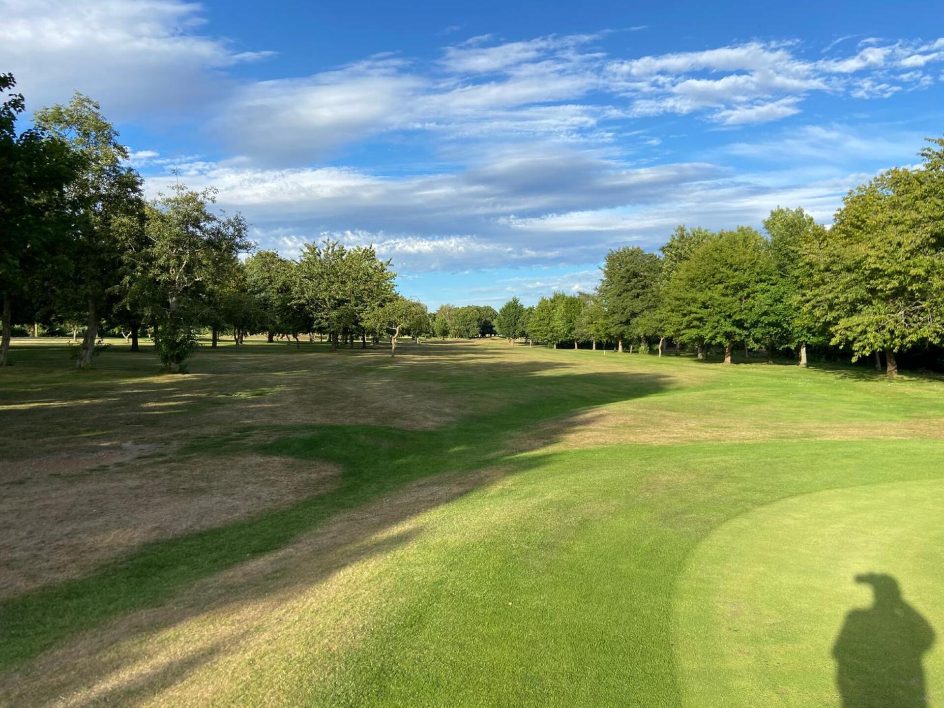 (Photo submitted by t1618553509 on 08/07/2020)