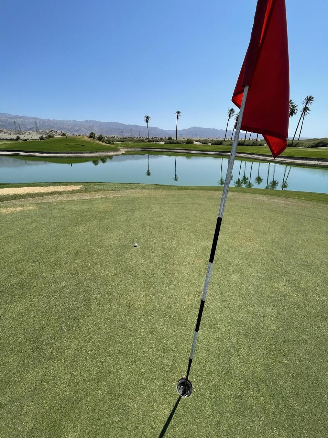 (Photo submitted by u314159642748 on 08/08/2021)