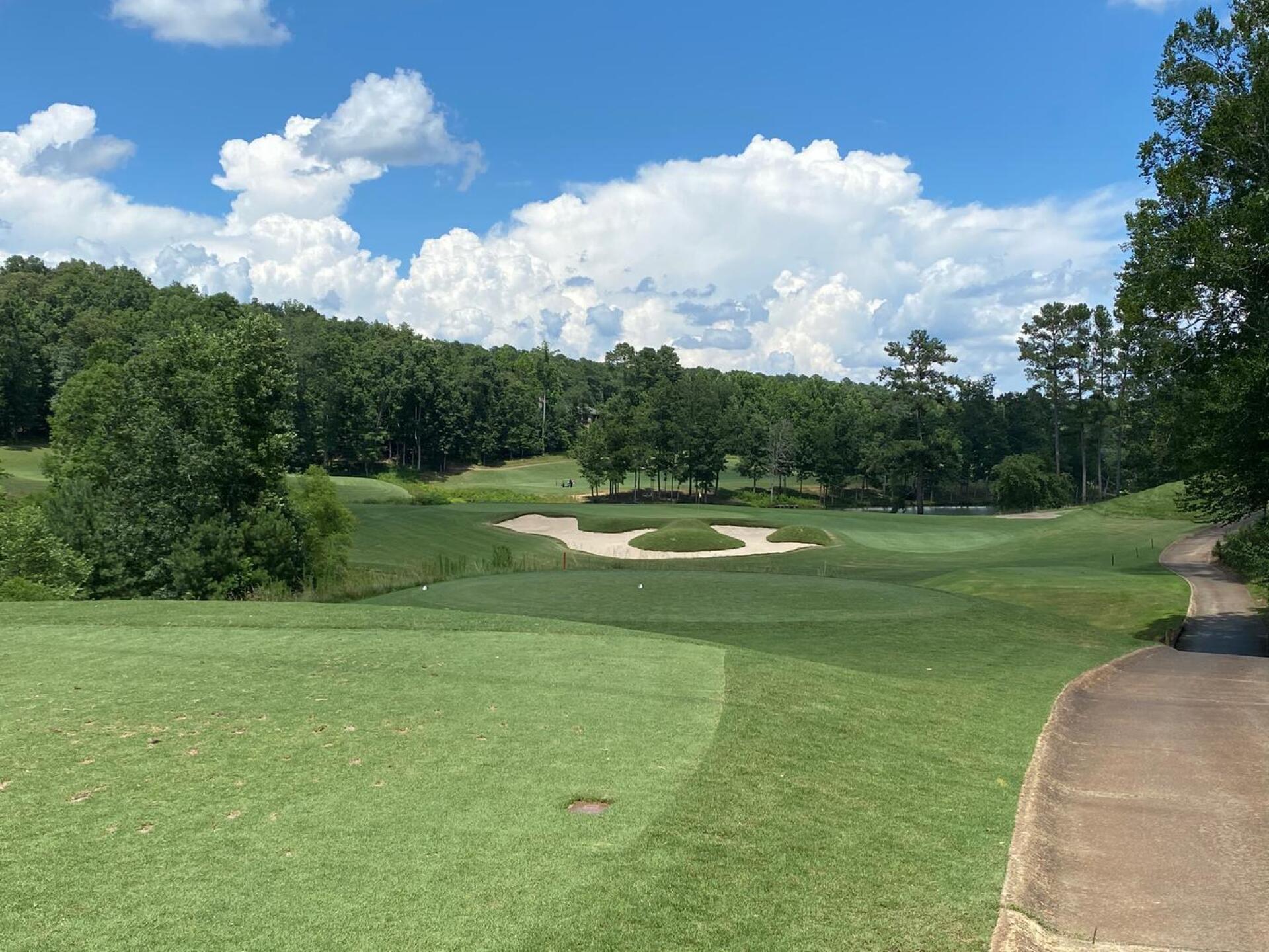 (Photo submitted by kflana03 on 07/10/2020)