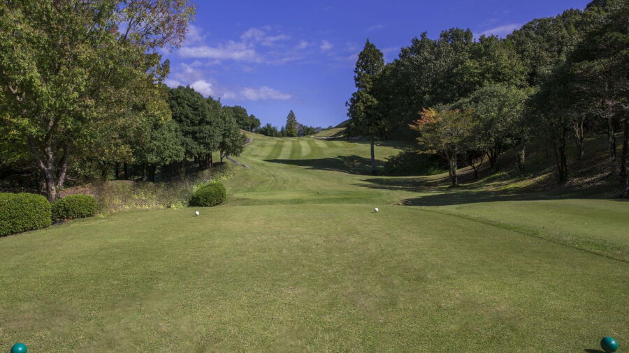 Hosenbo GC: #13