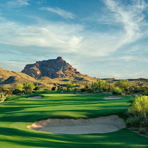 Saguaro at We-Ko-Pa GC: #8
