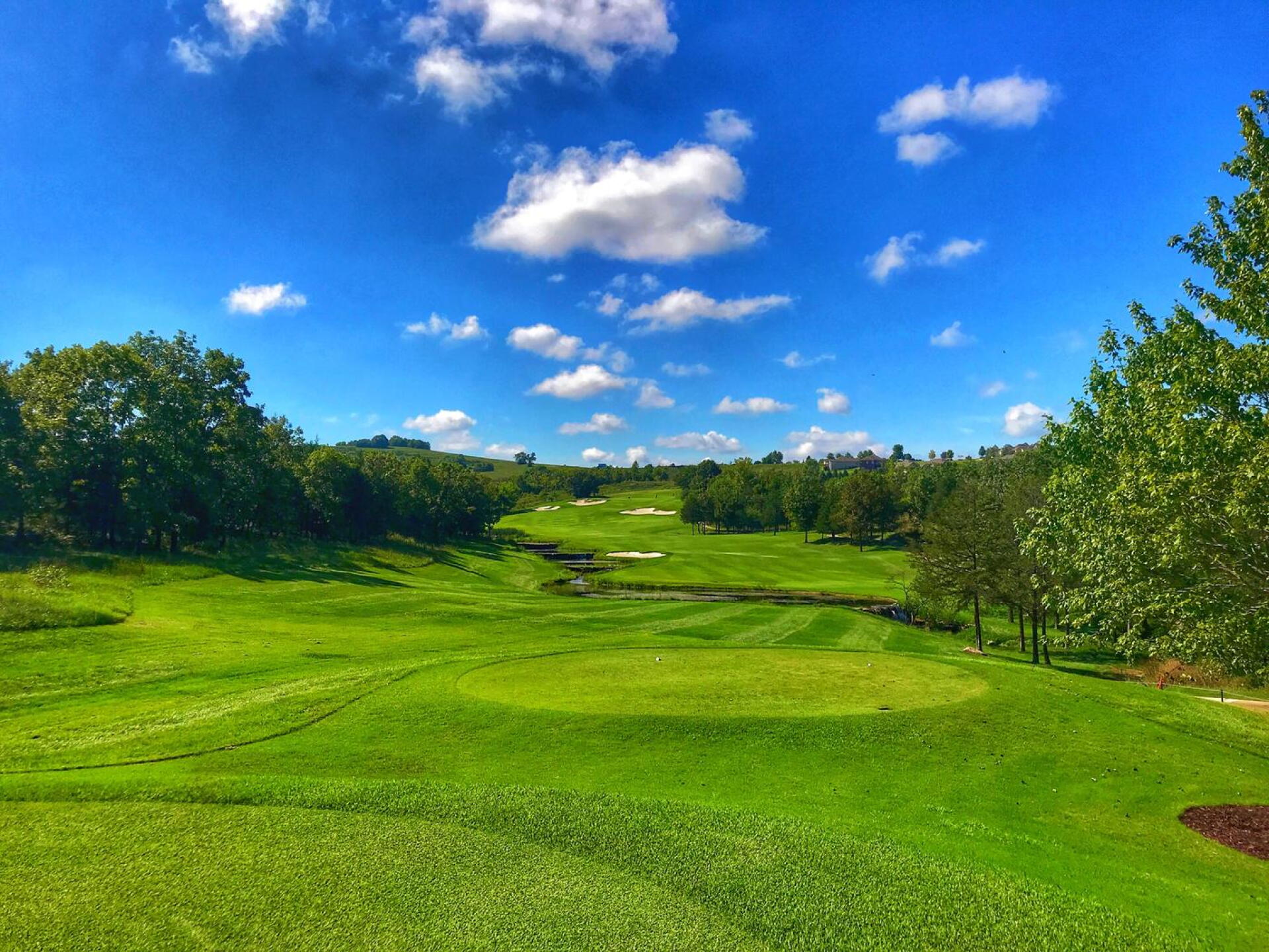 Buffalo Ridge Springs, hole 8 (Photo submitted by TimGavrichGP on 11/16/2018)