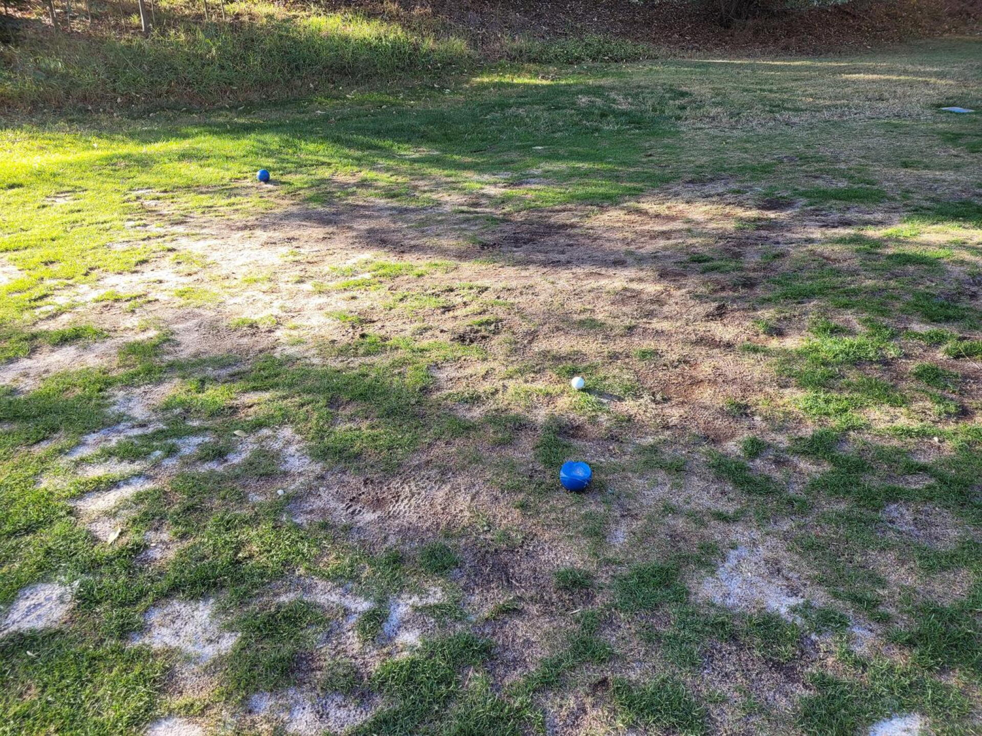 Blue tees at par 3 14th hole. :( (Photo submitted by smoothie24 on 11/28/2020)