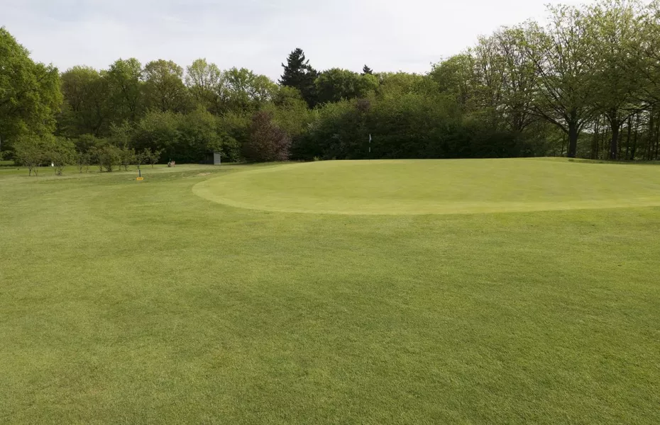 Sallandsche De Hoek GC