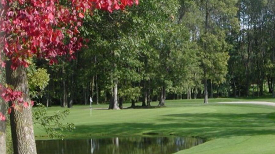 Bonaire GCC - Island: #7