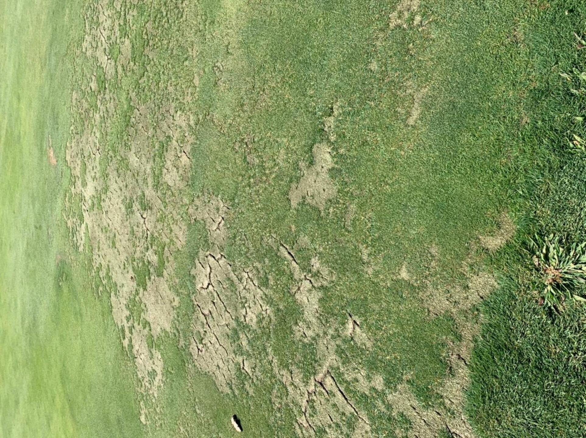 (Photo submitted by Pinseeker4653 on 09/26/2020)