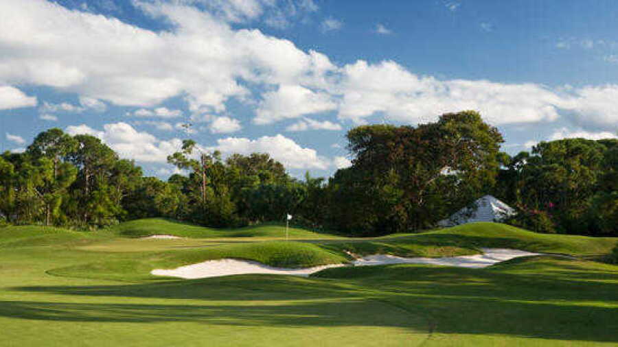 Monarch CC: #16