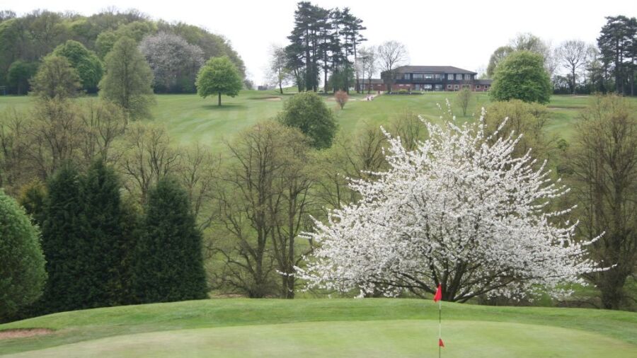 Hazlemere GC: #14