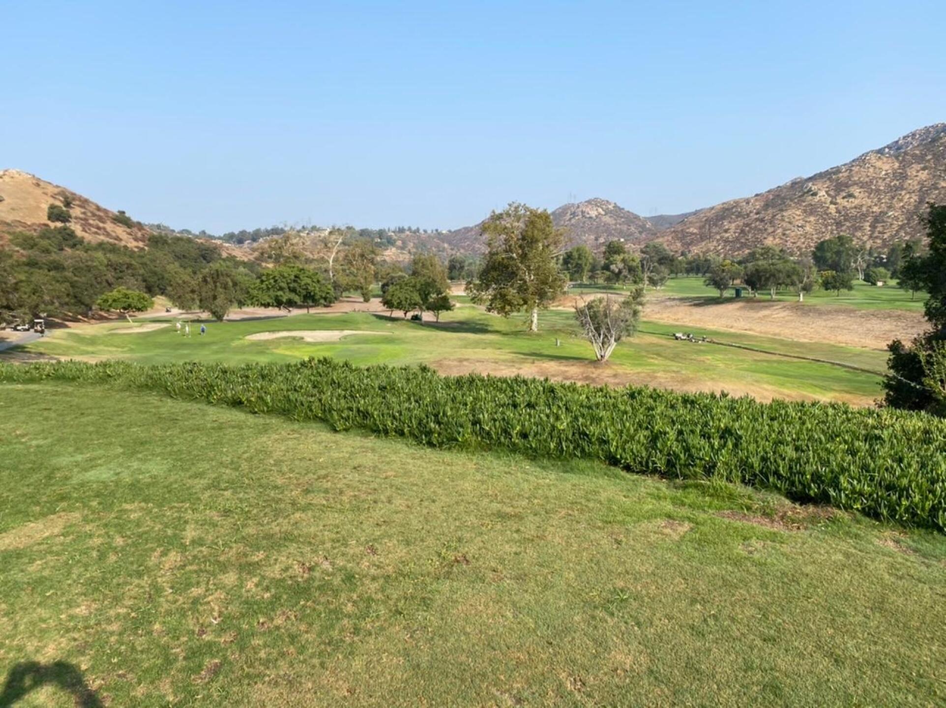 (Photo submitted by u314160162713 on 09/15/2020)