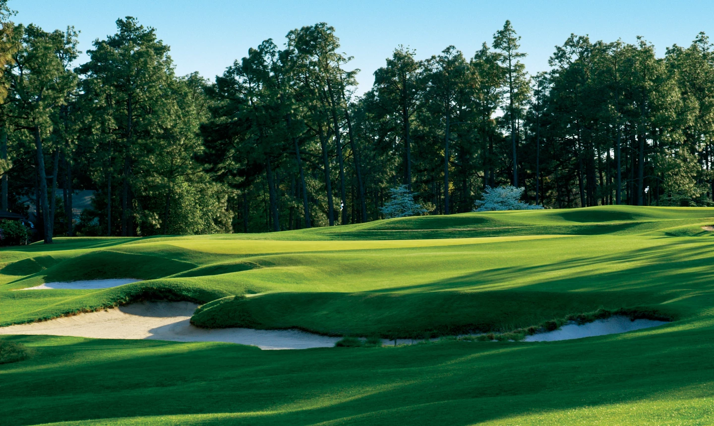 Pinehurst No. 2 - Hole 5
