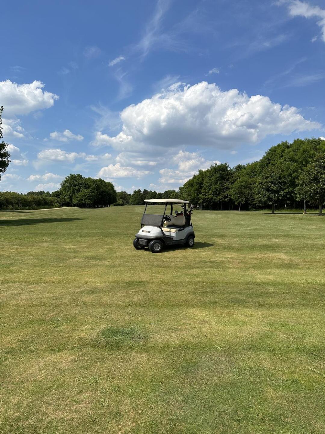 (Photo submitted by dannypmk on 06/15/2023)