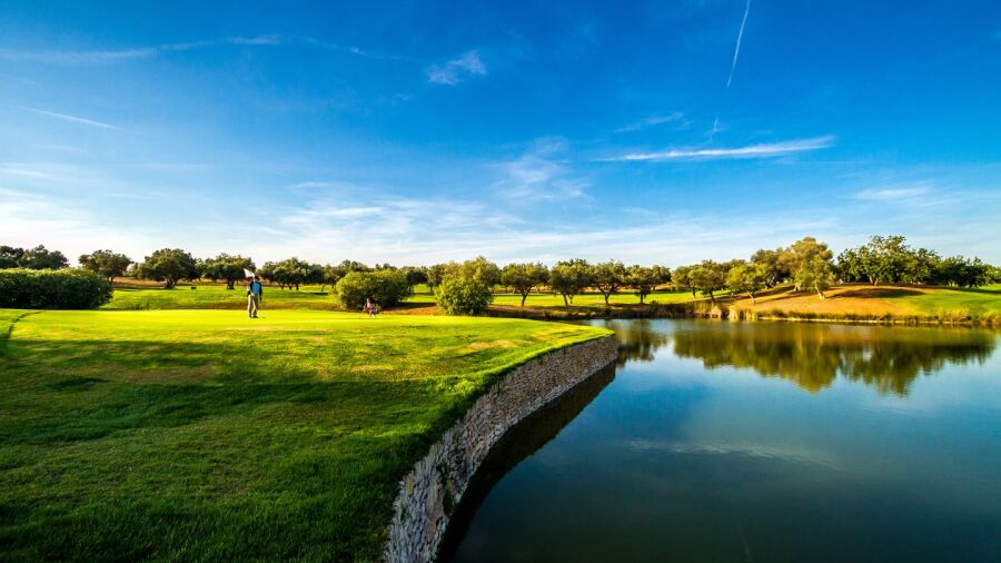 Panoramica GCC