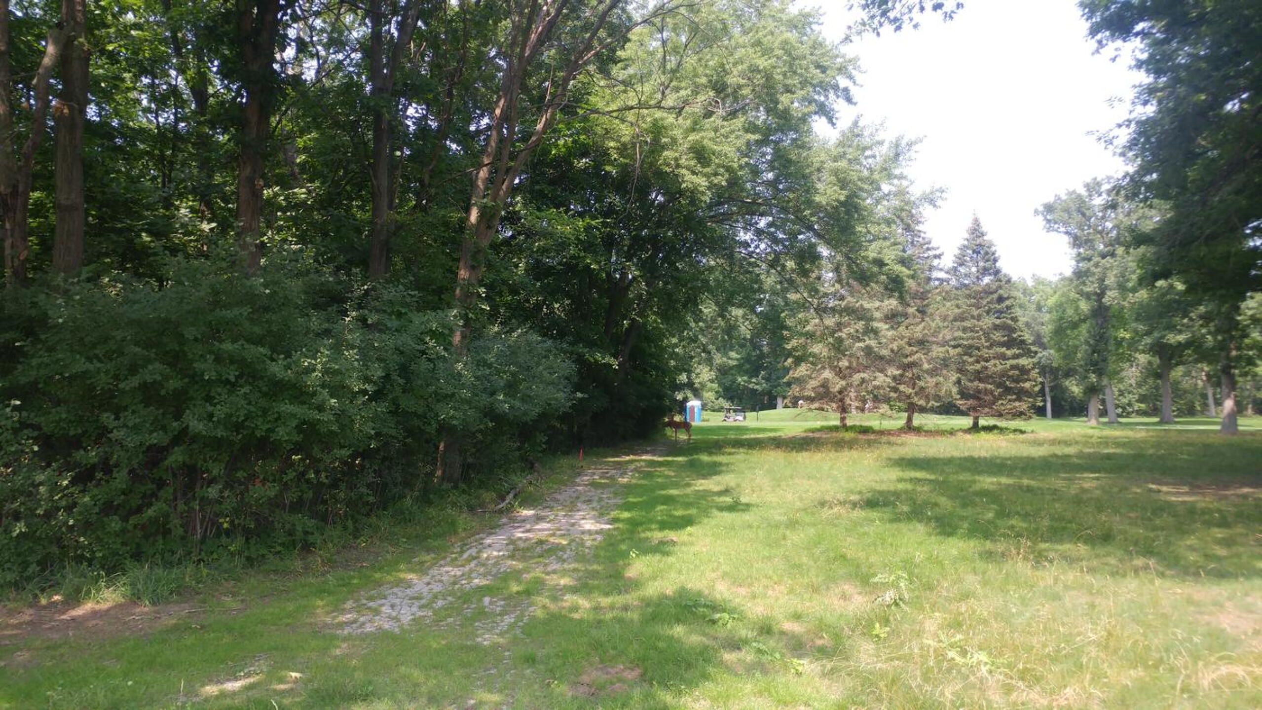 Deers visiting (Photo submitted by jsaintomer on 07/20/2021)