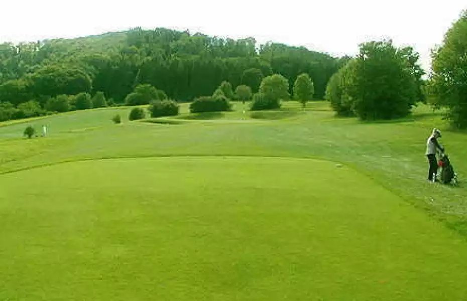 Schloss Weitenburg GC - 18-hole: #3