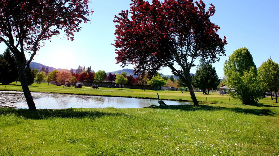 Stewart Park GC